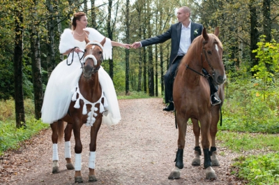 прокат лошадей на свадьбу
